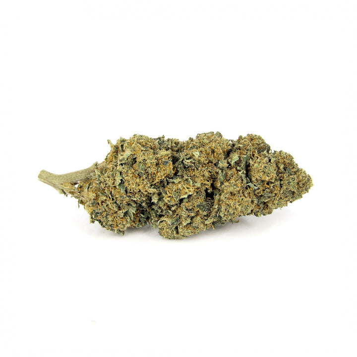 Fleurs Jack Herrer Indoor CBD 1G 