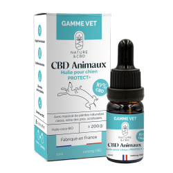 Huile CBD Animaux Protect+ 10% - chien